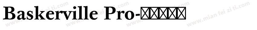 Baskerville Pro字体转换